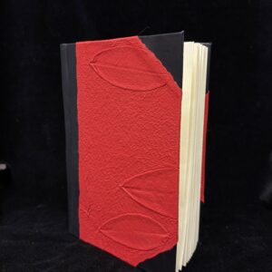 Libro dei viaggi